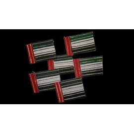 دبوس علم الامارات