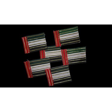 دبوس علم الامارات